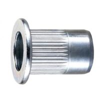tuerca remachable con cabeza